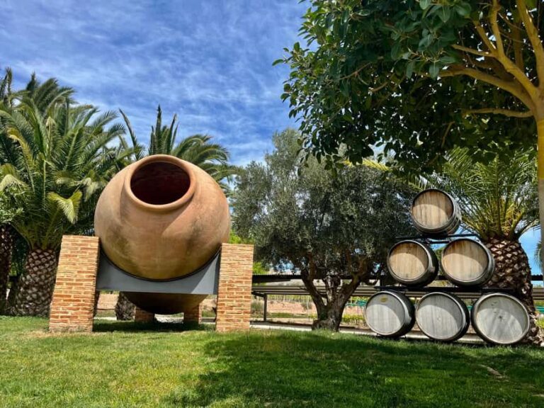 Wine Route with 3 Tastings & Castillo La Mola: Small Group - Exploring Castillo La Mola and Surroundings