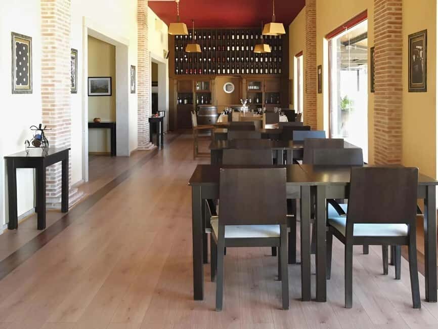 Wine tasting and a visit to the winery - The Authentic Flavors of Viseu in a Nutshell