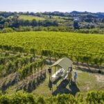 Wine Tasting and Food Pairings in Langhe and near Alba - Who Should Consider This Tour?