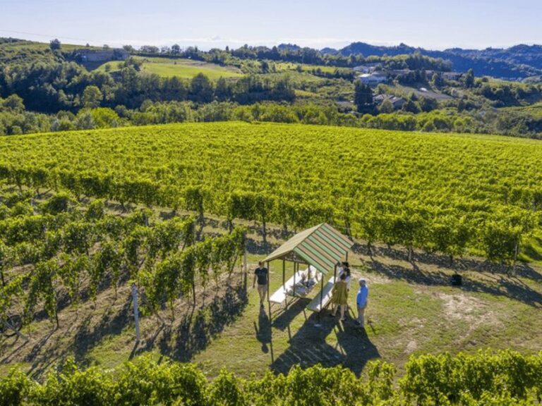 Wine Tasting and Food Pairings in Langhe and near Alba - Who Should Consider This Tour?