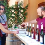 Wine Tasting and Guided Visit to the Vineyard and Cellar in S. Maria Imbaro - A Balance of Pros and Cons