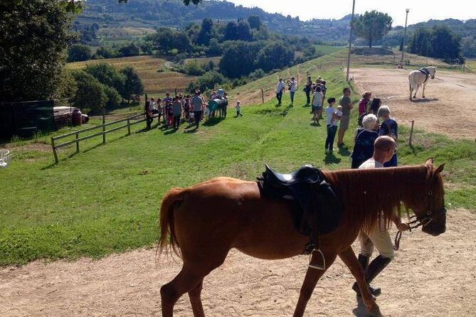 Wine tasting and horseback riding in Montepulciano, in Tuscany from Rome - FAQ