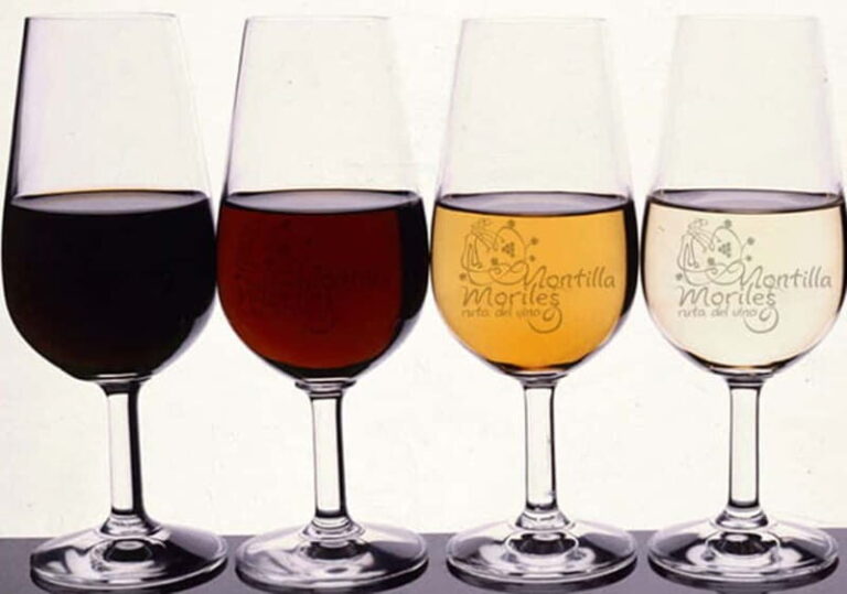 Wine Tasting and local tapas delight in Cordoba - What Makes This Experience Stand Out?