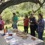 Wine tasting and Olive Oil in Tirana Surroundings - Why This Tour Works