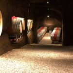 Wine Tasting and Winery tour - The Experience Through the Eyes of Past Visitors