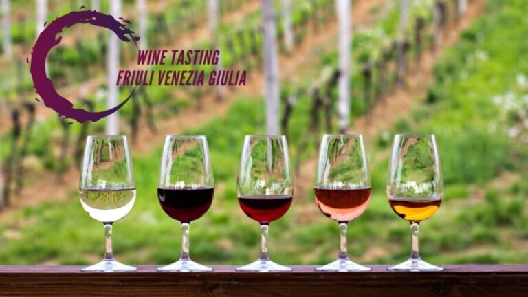 Wine tasting and winery tour in Friuli Venezia Giulia - The Value of This Tour