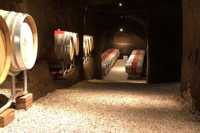 Wine Tasting and Winery tour - The Experience Through the Eyes of Past Visitors