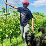 Wine Tasting and Winery Visit near Asti and Turin - Is It Worth the Price?