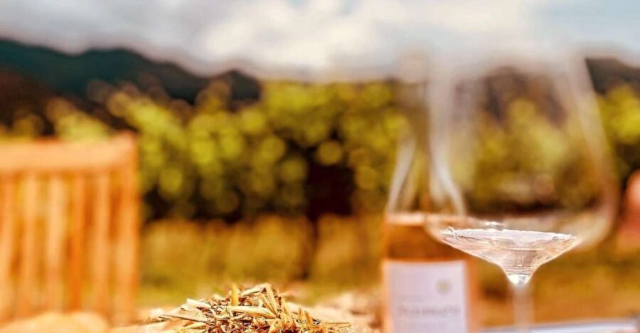 Wine tasting around Ile rousse & Calvi with Transport - Who is This Tour Best For?