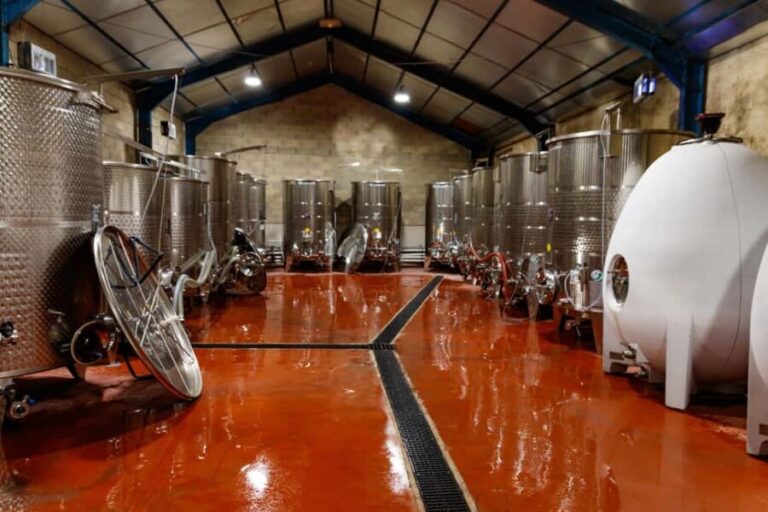 Wine tasting at Château Capion - The Practical Side: Logistics and Value