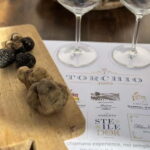 Wine tasting between Monferrato and Langhe - The Practicalities