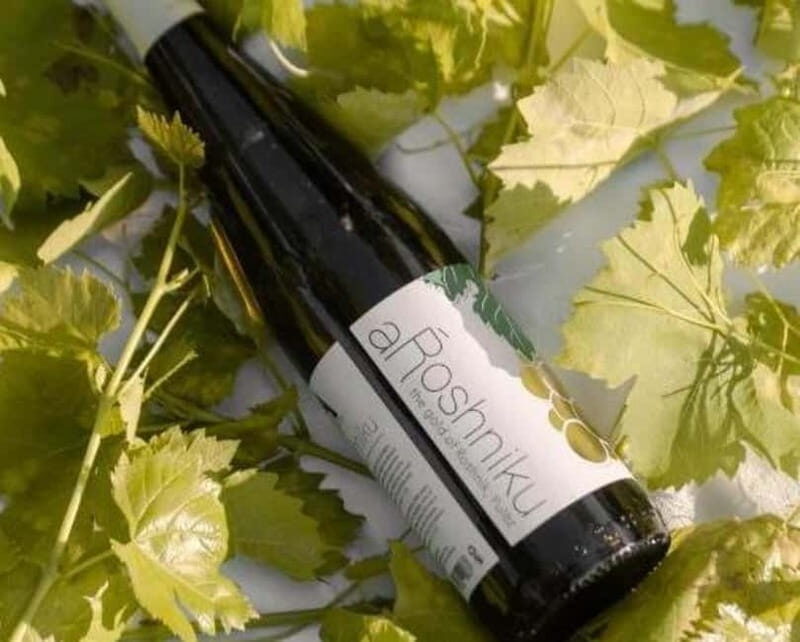 Wine Tasting Experience at Alpeta Winery - The Tasting Experience and Its Highlights