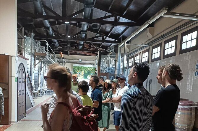 Wine Tasting Experience from Thessaloniki - Who Will Love This Experience?