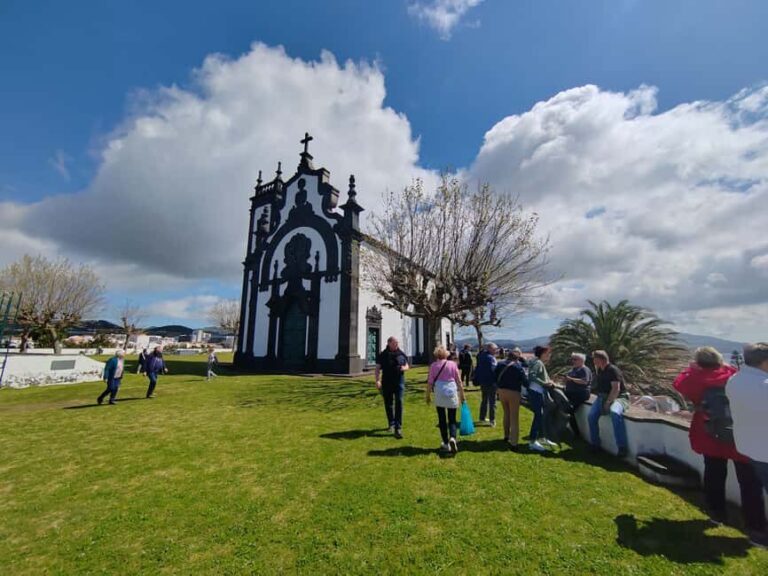 Wine Tasting & Guided City Tour in Ponta Delgada (DE/EN/PT) - The Unique Wine Tasting Experience