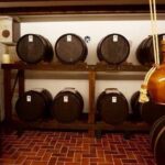 Wine tasting in Chianti, visiting Castellina, in Tuscany from Rome - Exploring Castellina in Chianti