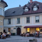 Wine Tasting in Radovljica - Practical Details & Tips