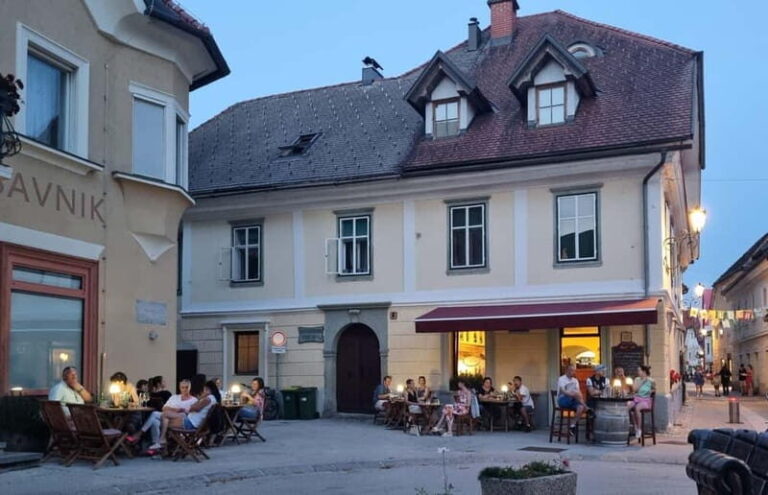 Wine Tasting in Radovljica - Practical Details & Tips