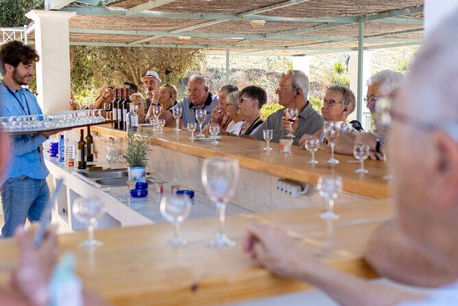Wine tasting in Rhodes, inside the vineyards with the Producer - What’s Included and What’s Not