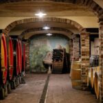 Wine tasting in the cellar - Who Will Appreciate This Tour?