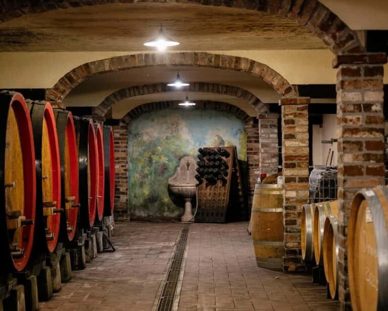 Wine tasting in the cellar - Who Will Appreciate This Tour?