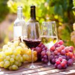 Wine tasting in the Vesuvius National Park - The Pros and Cons