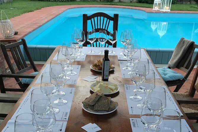 Wine tasting in Versilia with sommelier - 5 wines and local products - Who Should Consider This Tour?