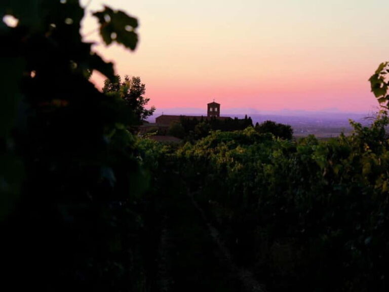 Wine Tasting & Medieval Town Visit at Castelli Romani - Who Should Consider This Tour?