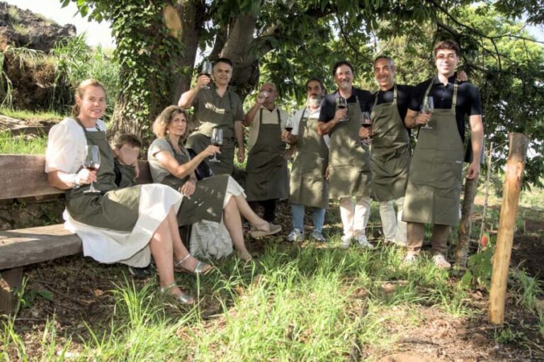 Wine tasting on Etna: volcanic flavors, history, and tradition - The Location and Views