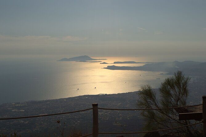 Wine Tasting on Mount Vesuvius - The Experience from Travelers Perspectives