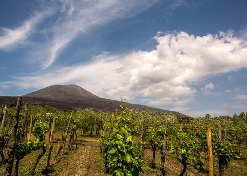 Wine Tasting on Mt. Vesuvius - The Breakdown of the Experience