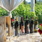 Wine Tasting & Shuttle Service - Final Thoughts