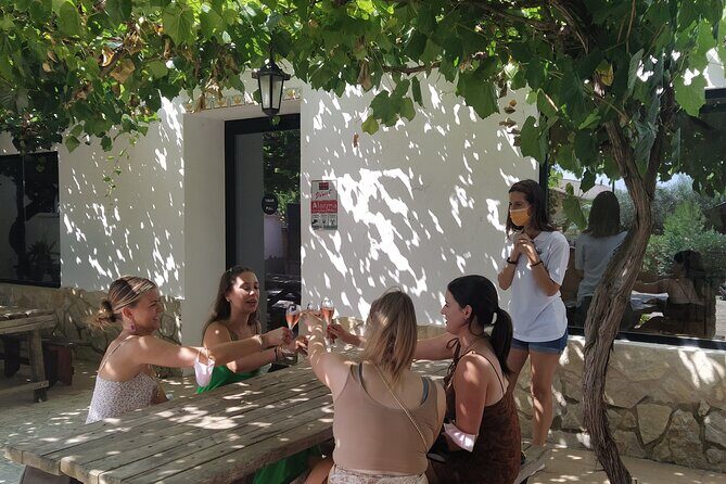 Wine tasting tour - What We Loved Based on Reviews