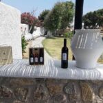 Wine Tasting Tour at a traditional farm in Mykonos - Is It Worth the Price?