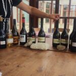 Wine Tasting Tour in Tokaj Wine Region Slovakia. With transport - Deep Dive into What You’ll Experience