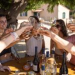 Wine tasting tour - Le Pradet - The Itinerary in Detail