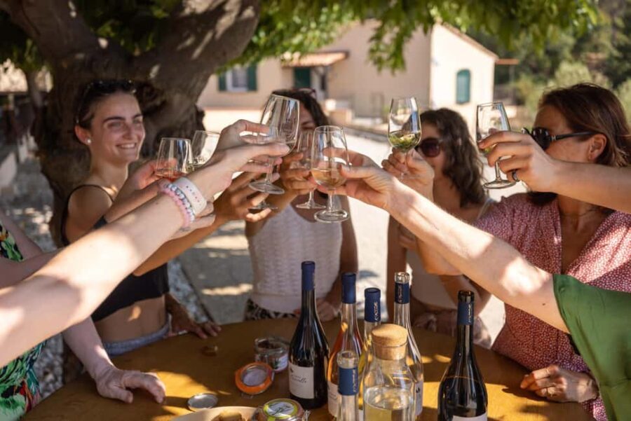 Wine tasting tour - Le Pradet - The Itinerary in Detail