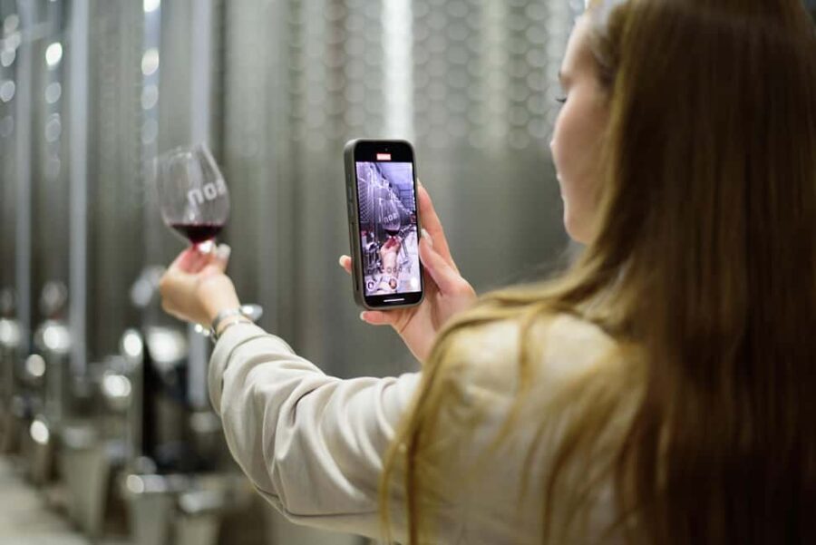 Wine Tasting & Tour of Altterra Wines Factory - The Itinerary and Flow of the Tour