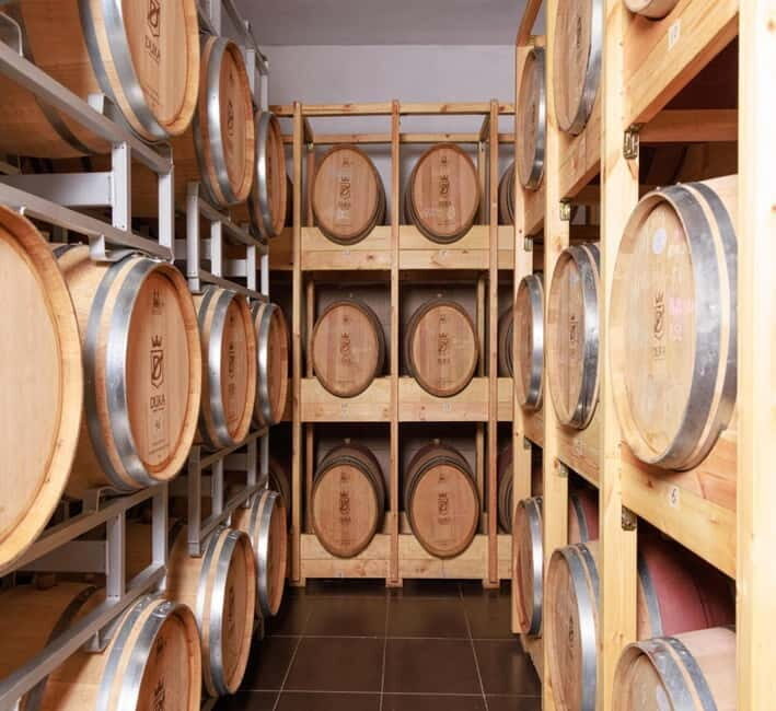 Wine tasting tour, Optional wine yard tour and kayak rides - Who Should Consider This Tour?