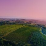 Wine Tasting & Tour Premium - The Itinerary: Breaking Down the Day