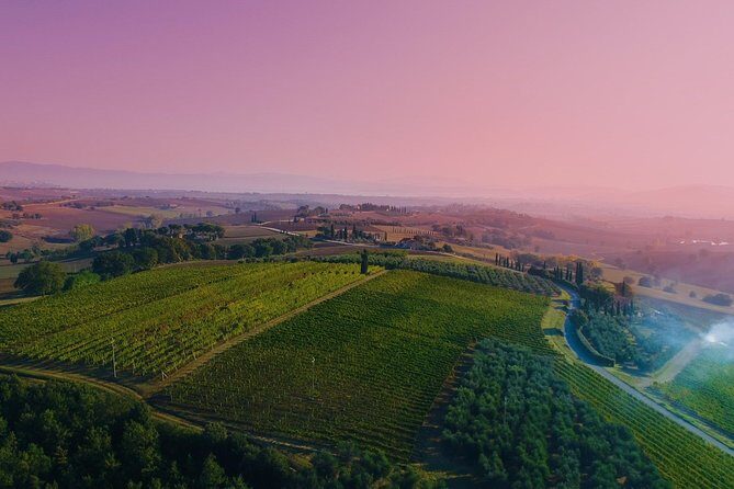 Wine Tasting & Tour Premium - The Itinerary: Breaking Down the Day