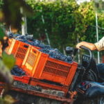 Wine Tasting & Vineyards Escape near Tirana - Price and Value Considerations