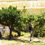 Wine Tasting whit Painting Lesson in Baglio Florio - The Real Value of the Tour