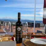 Wine Tasting with Local Food Pairing near Livorno - Who Should Consider This Tour?