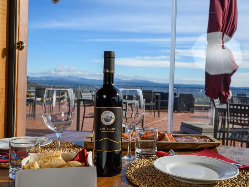 Wine Tasting with Local Food Pairing near Livorno - Who Should Consider This Tour?