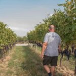 Wine Tasting with Snacks in Neive, the heart of Langhe - An honest look at what to expect