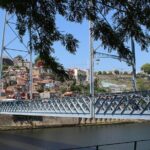 Wine Tasting with Tapas Walking Tour in Porto - The Value and Price