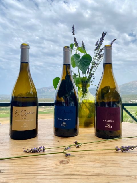 Wine tastings around Calvi & Île-Rousse - Key Points