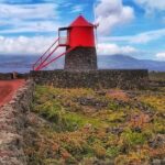 Wine Tour - The Real Traveler Insights