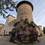 Wine Tour 6 hours 2 top wineries of Chianti Classico Limo Service - What the Price Gets You (and What it Doesn’t)