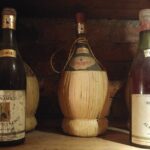 Wine tour and lunch in Lucca area - A Deep Dive into the Lucca Wine Tour